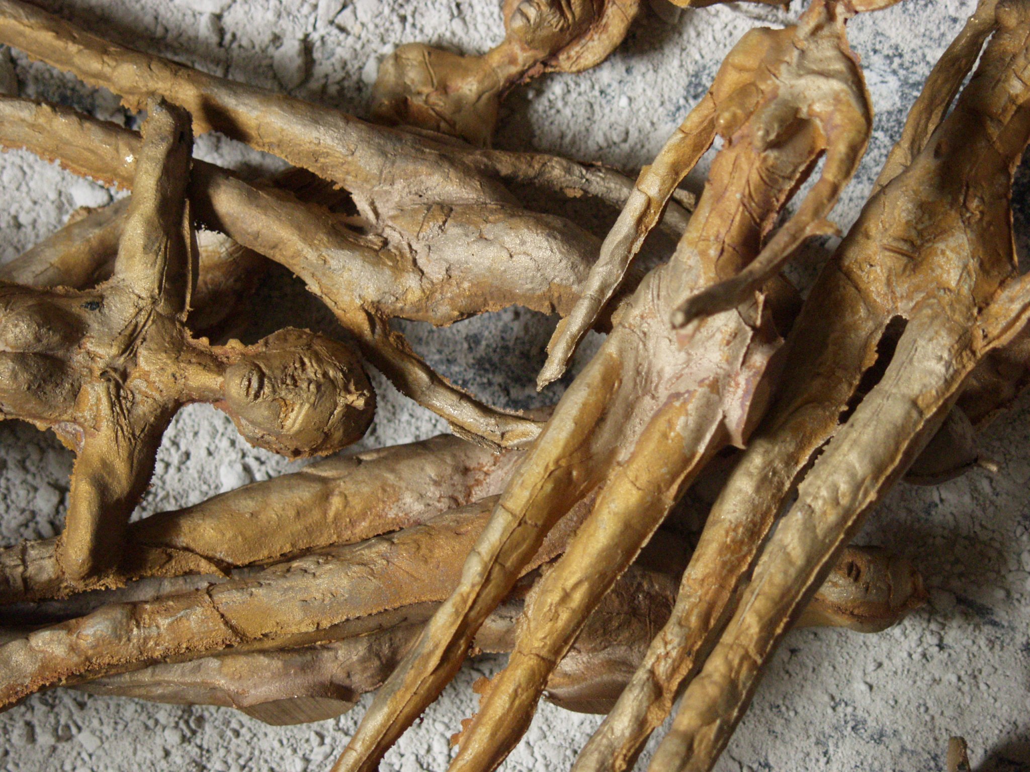 Rohgsse, kleine Schreitende 2008